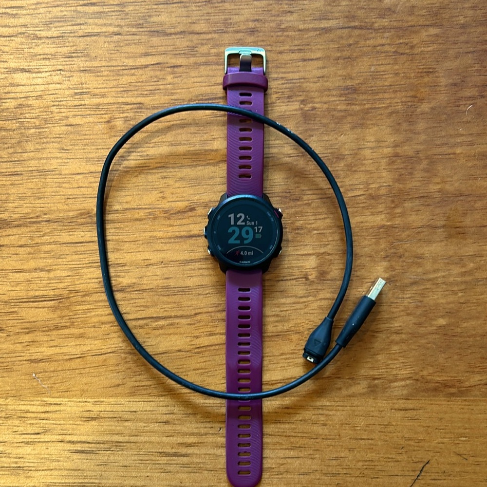 Garmin Forerunner 245 (no music)